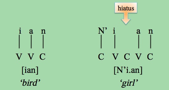 Epenthesis phonological process - dissertationadviser.x.fc2.com